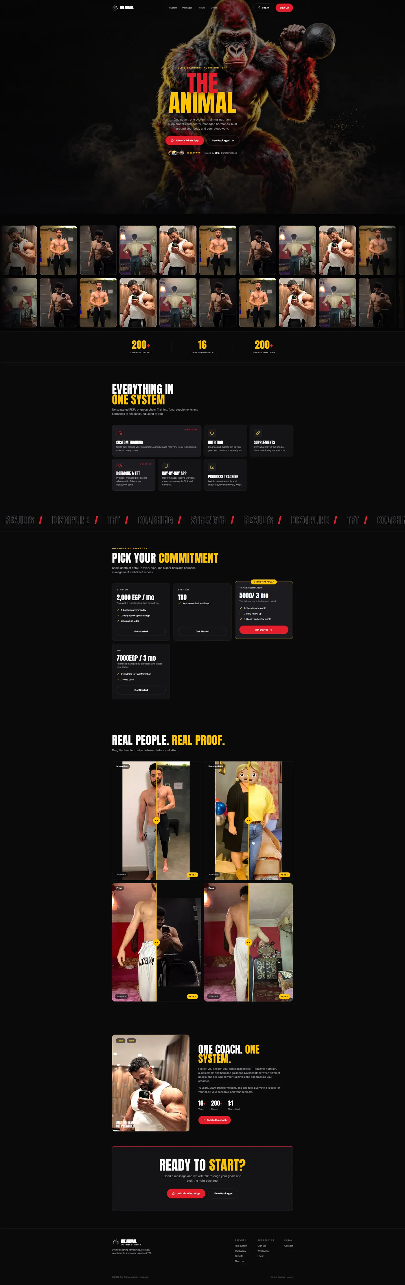 The Animal website
